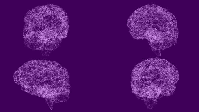 人类大脑由紫色背景下的连接网络构成