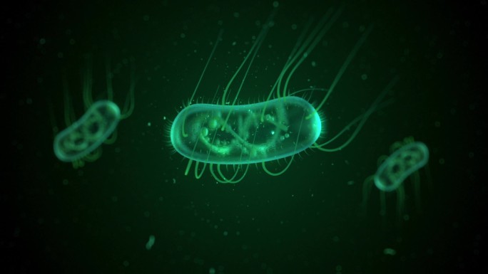 计算机生成的大肠杆菌漂浮