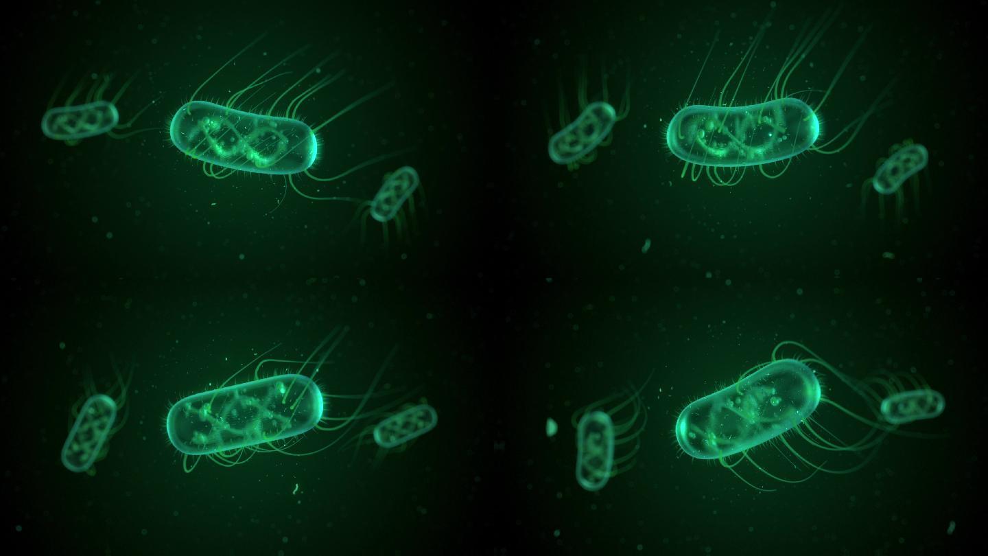 计算机生成的大肠杆菌漂浮
