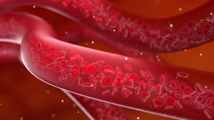 3D动画演示血管内流动的血小板