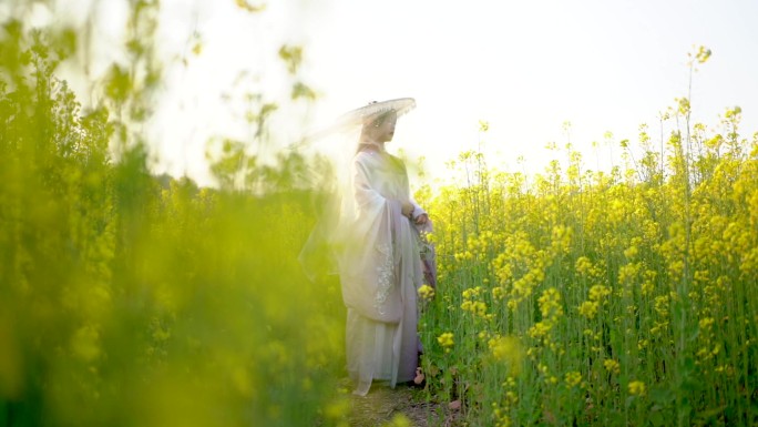 重庆江心广阳岛油菜花地里的汉服小姐姐