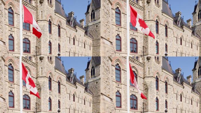 加拿大议会大厦前降半旗