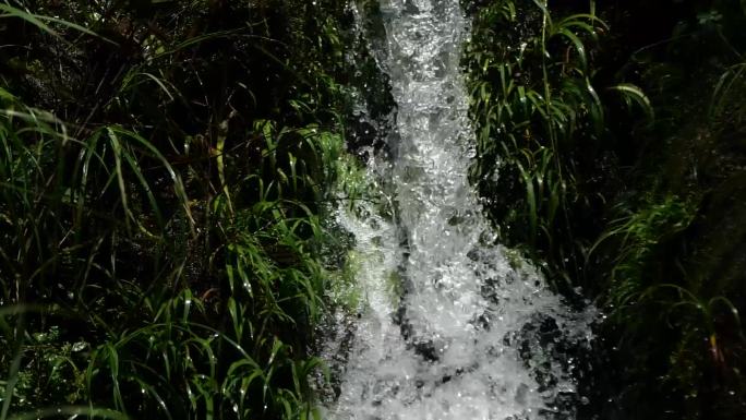 山涧流水实拍