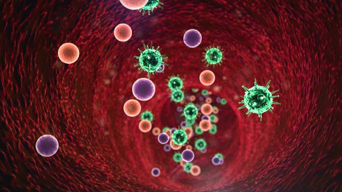 血管内的白细胞新冠疫情防控防疫病毒动画特