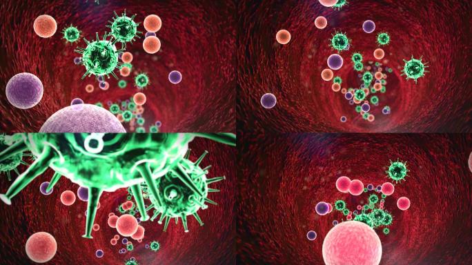 血管内的白细胞新冠疫情防控防疫病毒动画特