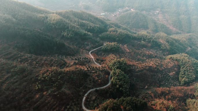 山间小道