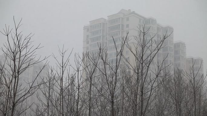 雪天小区景色楼群沉浸在雾气里