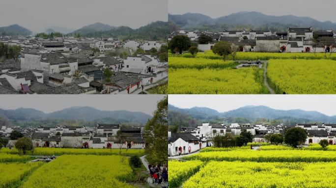 航拍油菜花田美丽乡村西递村02