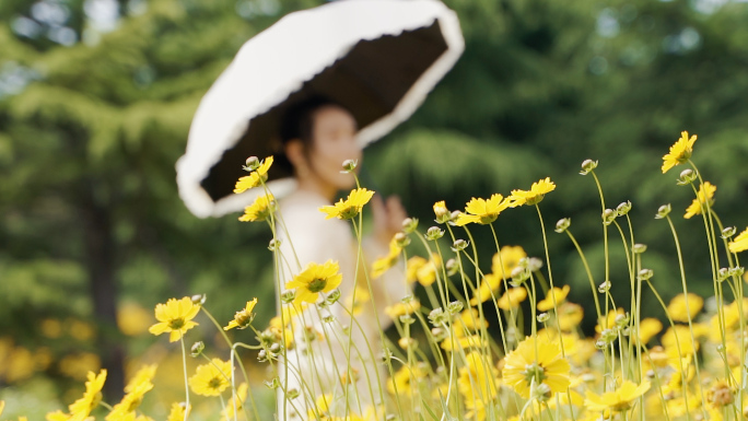 少女 花海 打伞漫步 赏花 闻花 花丛