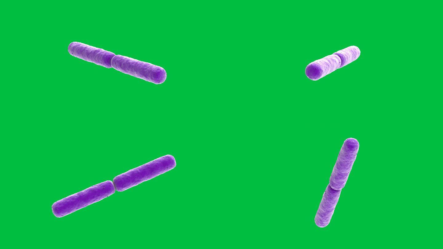 紫色棒状细菌通道模板绿幕抠像3d特效