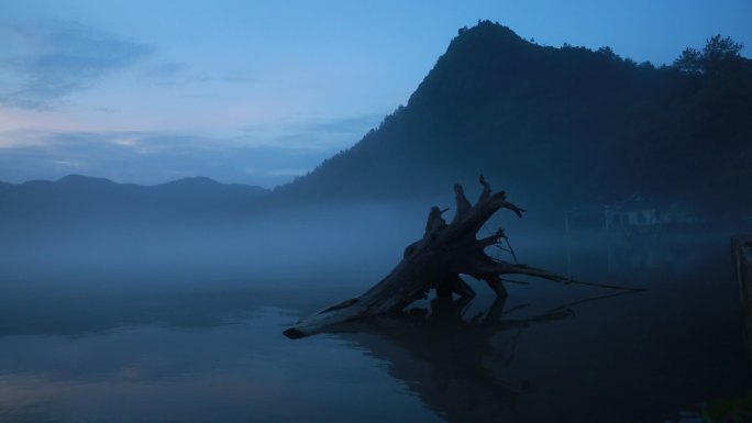 瓯江边上水雾迷漫，一副如梦如幻场景
