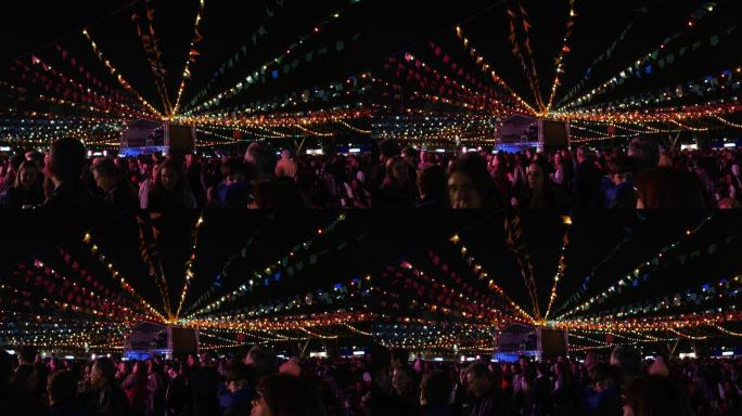 巴西的节日派对演唱会霓虹灯人群