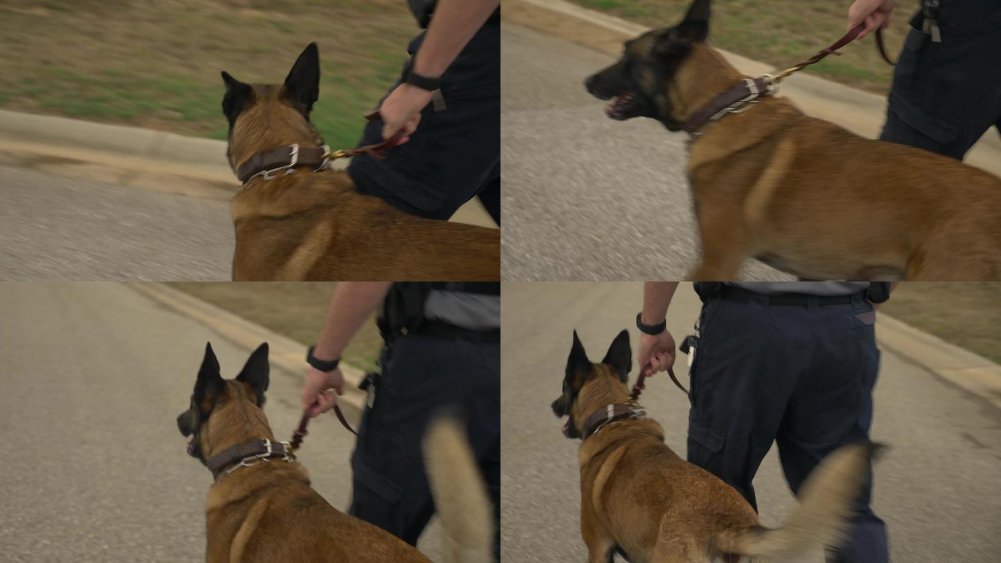 警官带着狗缉毒犬缉毒警海关边境