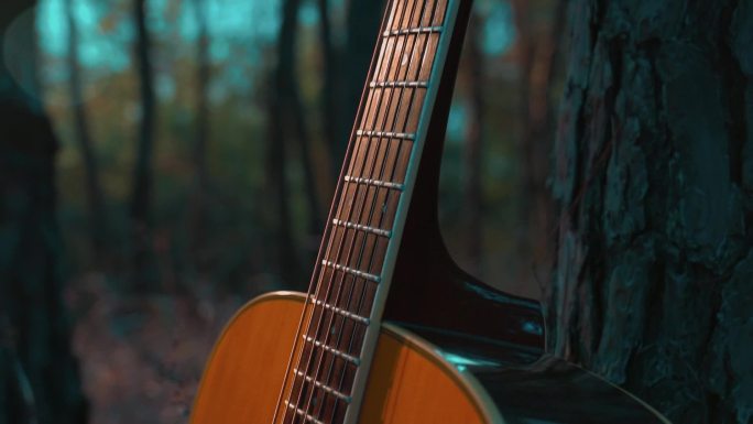 吉他靠着树夕阳下弹吉他