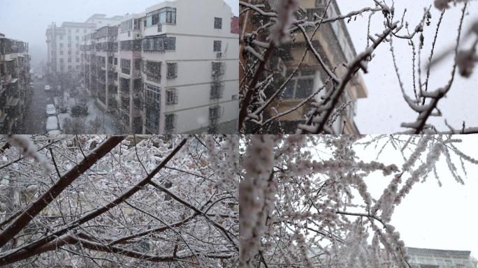 楼上赏雪雪中桃花 扑面而来的雪花长椅雪景