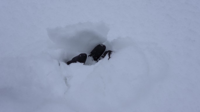 雪崩过后，一只手从雪地里伸出来。