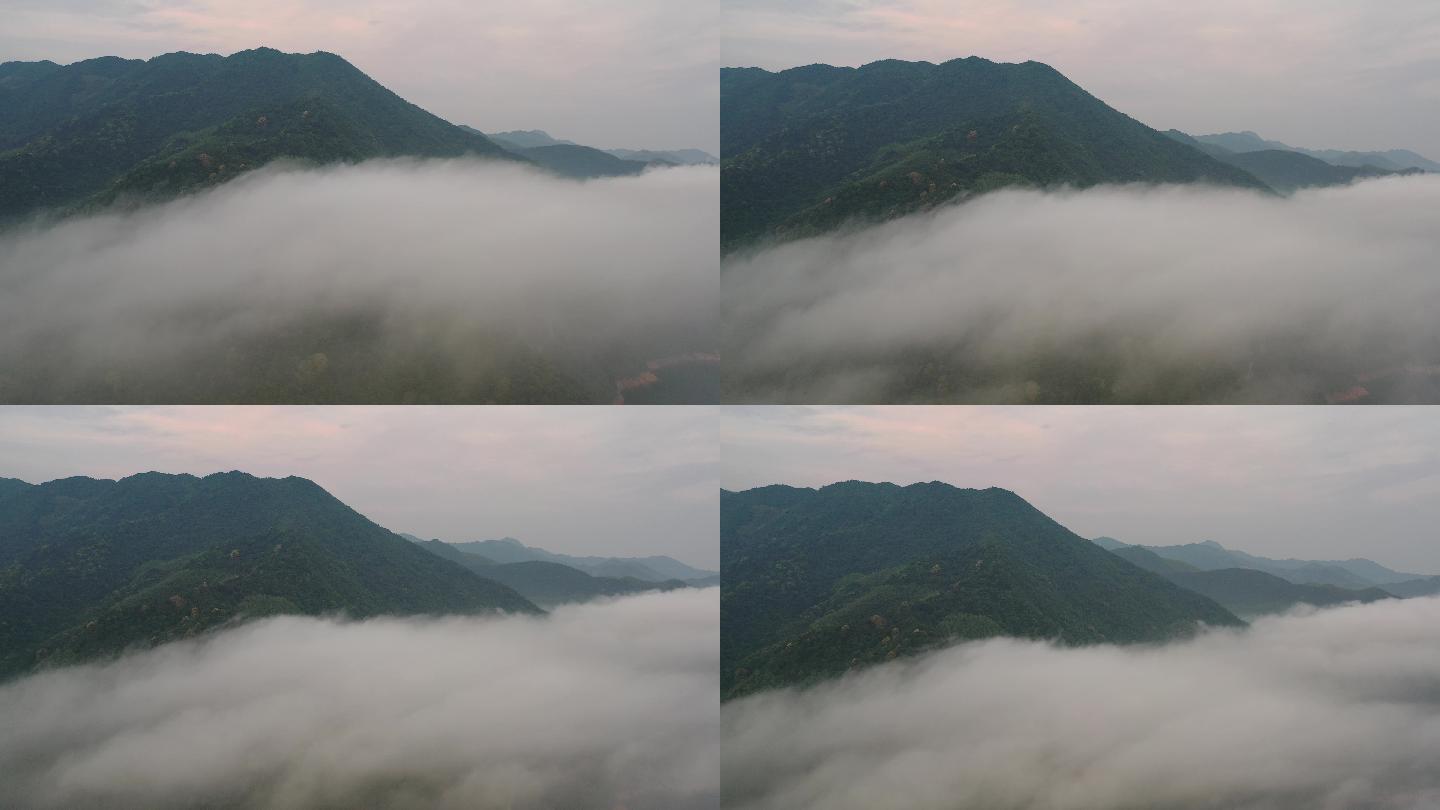 【4K正版素材】山脉间的晨雾云海