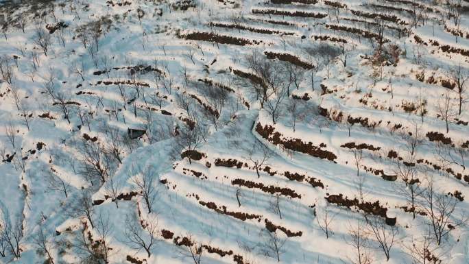 航拍浙江山区梯田雪景