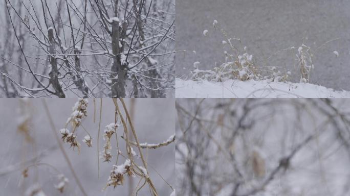 大雪特写空镜，北方农村雪景，荒草转场
