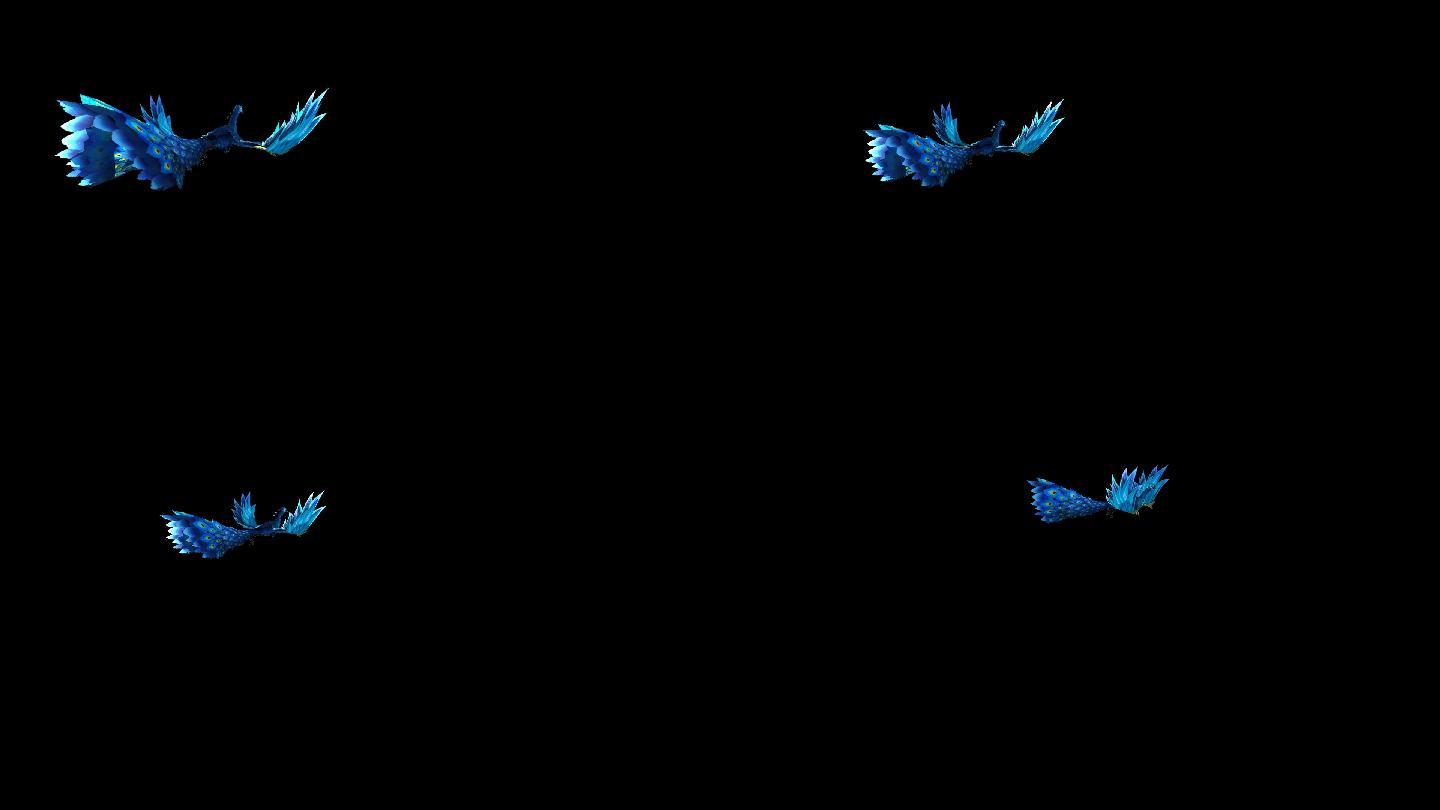 三维孔雀飞行动画-带透明通道