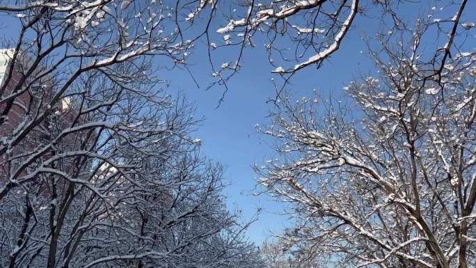 雪后蓝天