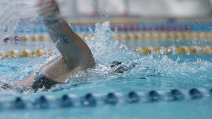 游泳运动员训练肌肉发达自由泳速度