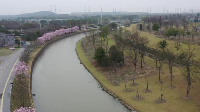 4K原素材-航拍上海辰山植物园