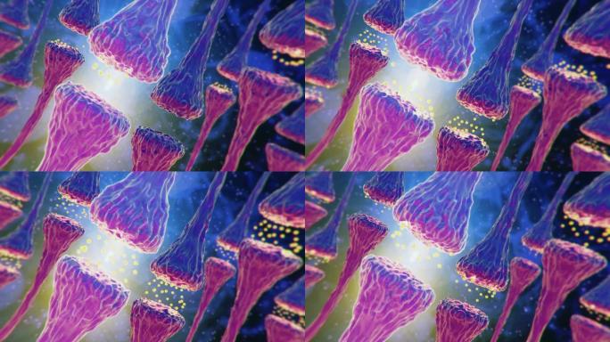 大脑和神经元基因研究人体细胞神经轴突