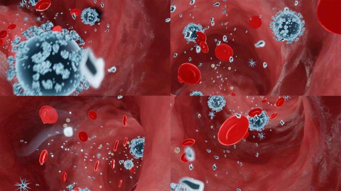 动脉中流动着病毒的红细胞。