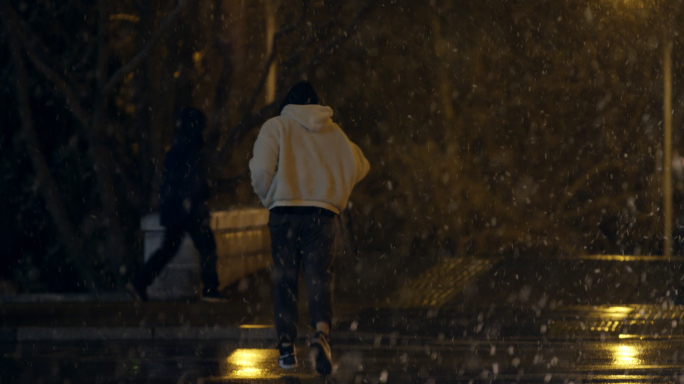 北京雪夜，路灯，街景，冬天街道，夜晚人流