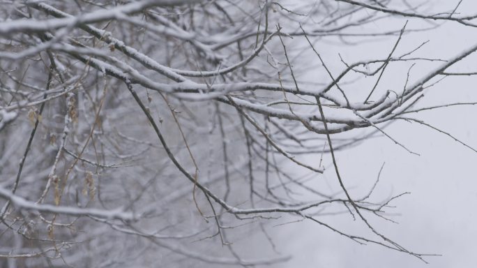 大雪空镜，农村伤感的雪景