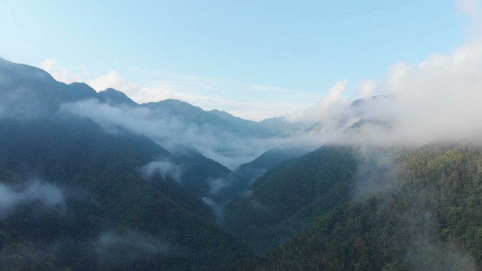 航拍云雾环绕的山谷