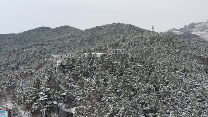 航拍森林雪景素材