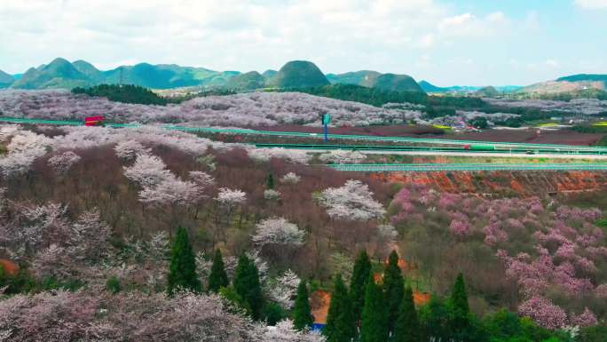 清镇红枫湖樱花高速公路自然风景航拍-3