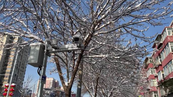 雪后街景