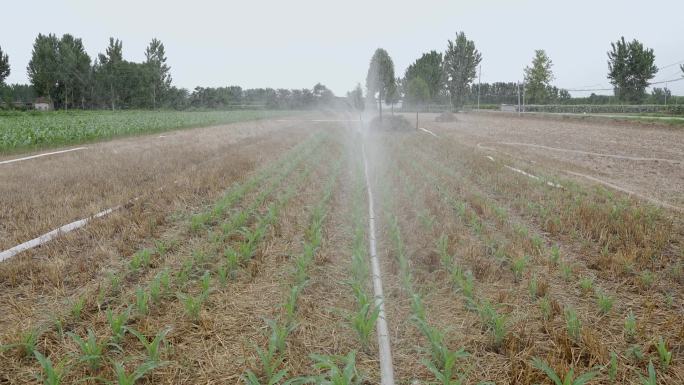 农田浇地、灌溉