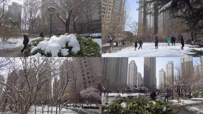 雪后初晴打雪仗春天雪景春光明媚桃树开花