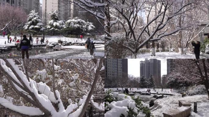 小区雪景小孩子玩雪春天风景挑花春季初春