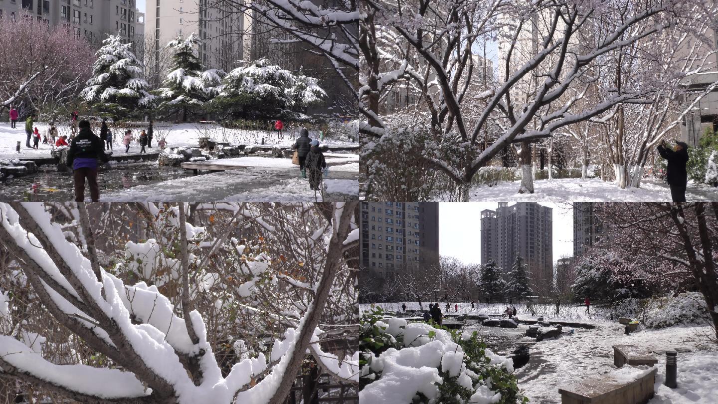 小区雪景小孩子玩雪春天风景挑花春季初春