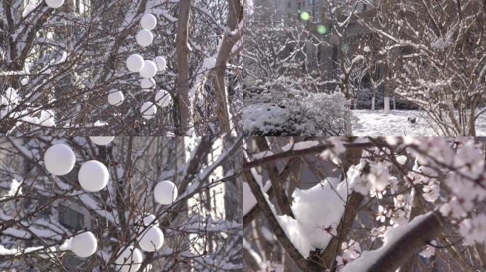 城市小区雪景春雪挑花积雪雪中树木雪中树枝