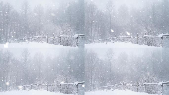 下雪景观雪天雪景寒冬白茫茫一片北海道大兴