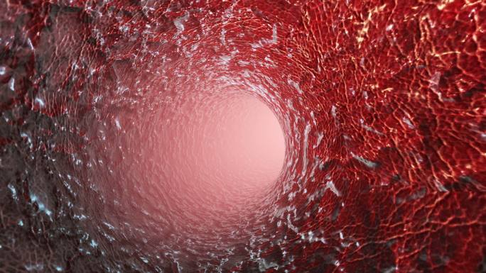 动脉血管内壁动画特效血管穿梭