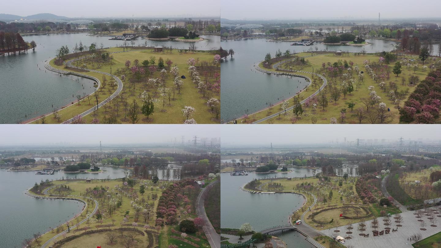 4K原素材-航拍上海辰山植物园