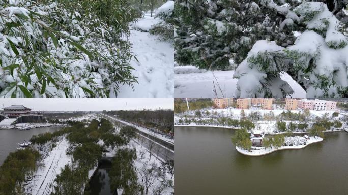 冬天下雪暴雪雪景