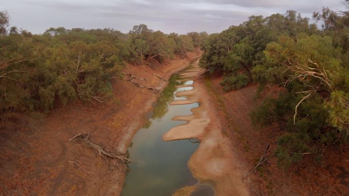 澳大利亚干旱河流的生态灾难