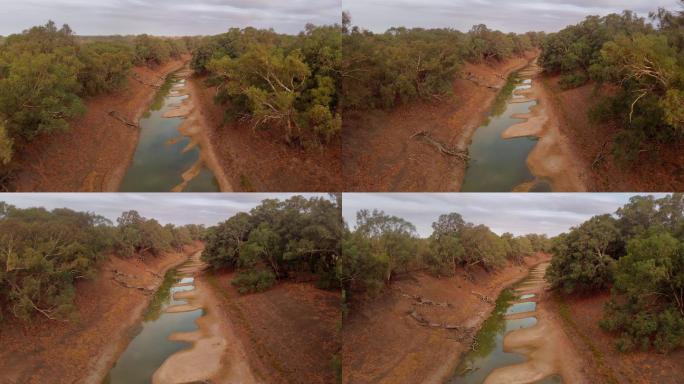 澳大利亚干旱河流的生态灾难