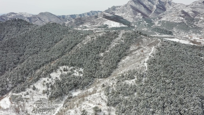 航拍森林高山雪景