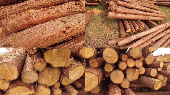 木头 原木 木材