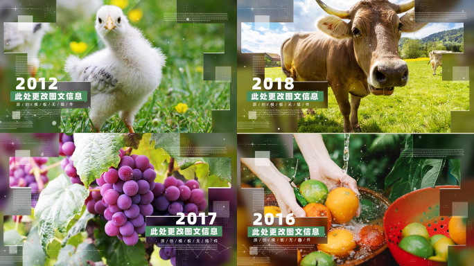 科技农产品展示生态农业图文包装