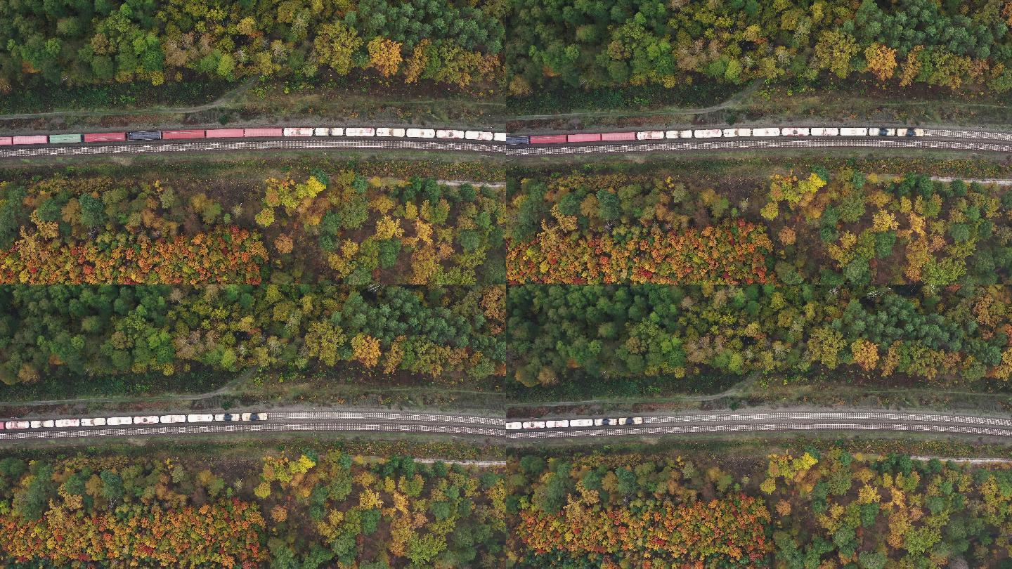 俯瞰一列货运列车穿过美丽的秋天森林。